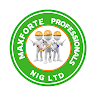 Portrait of Maxforte Professionals